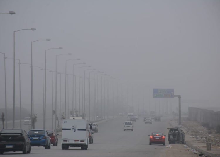 �������: ��� ����� ����� ����� ������ ���� ��� ������� ������� �������� 21 ����