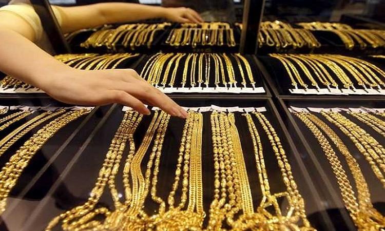 ����� ����� ����� �������� 23 / 12 / 2025 �� ���