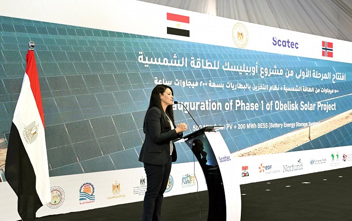 ������: ������� ����� ������ 600 ����� ����� ������ ��������߻ ������ �������