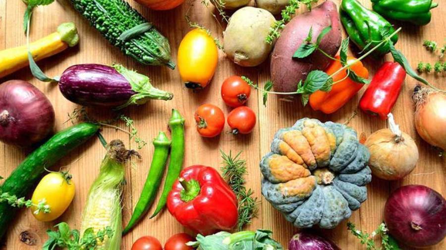 ����� �������� �������� ����� ������� 29 / 12 / 2025 �� ������� 