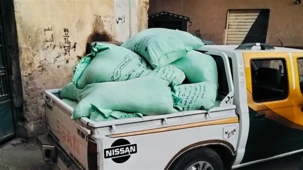 ��� 10 �� ���� ���� ����� ����� �� 24 ���� 