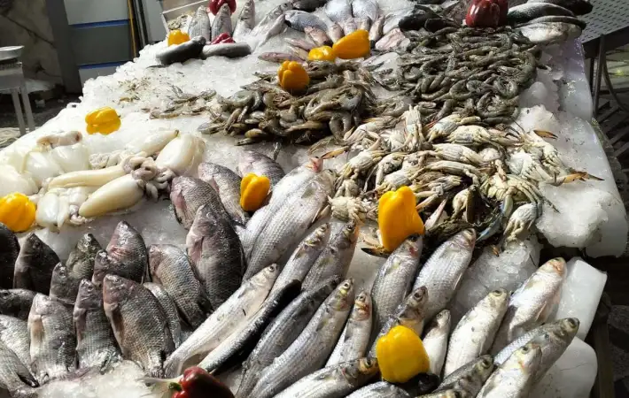 ����� ������� ����� ����� 1 / 3 / 2026 �� ��� ������