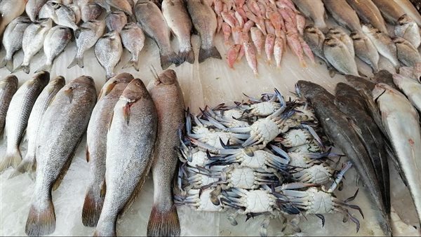 ����� ������� ����� ������� 30 / 3 / 2026 �� ��� ������