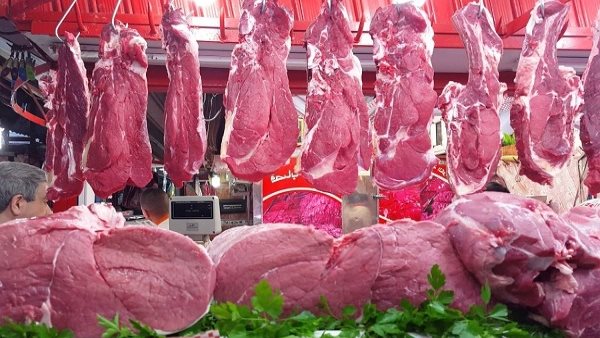 ����� ������ ����� ����� 12 / 4 / 2026 �� �������