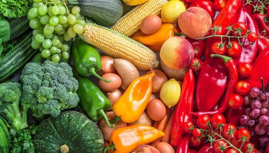 ����� �������� �������� ����� ����� 25 / 1 / 2026 �� ��� ������ ������