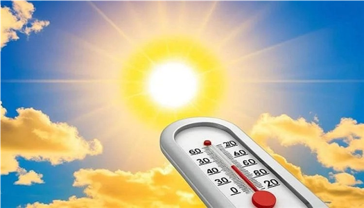 �������: ��� ����� ���� ������� ����� ������ ������� ����� ������� �������� 24 ����