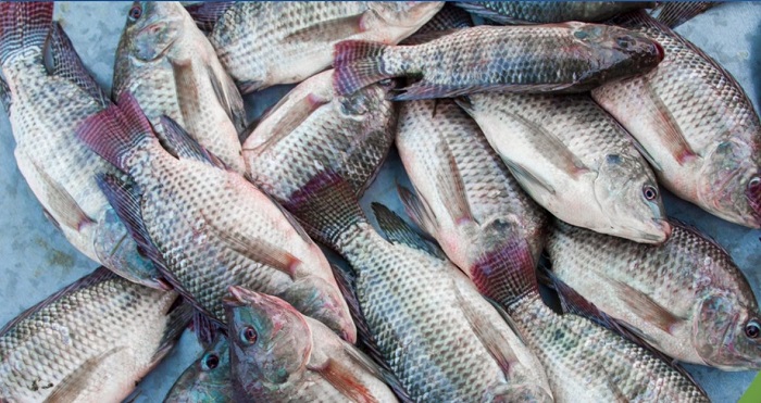 ����� ������� ����� ������ 19 / 3 / 206 �� ��� ������