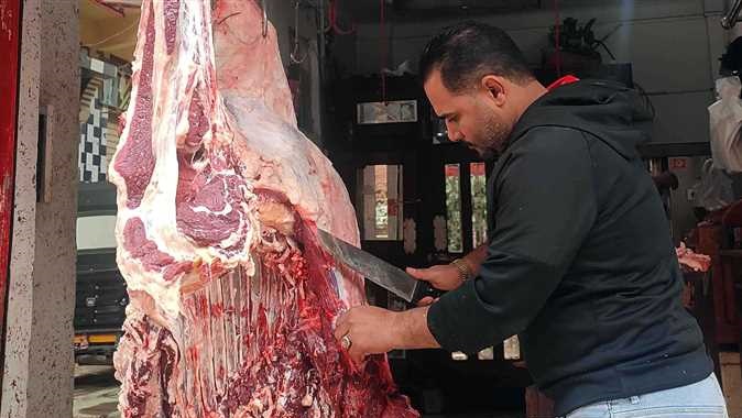 ����� ������ ����� �������� 14 / 1 / 2026 �� �������