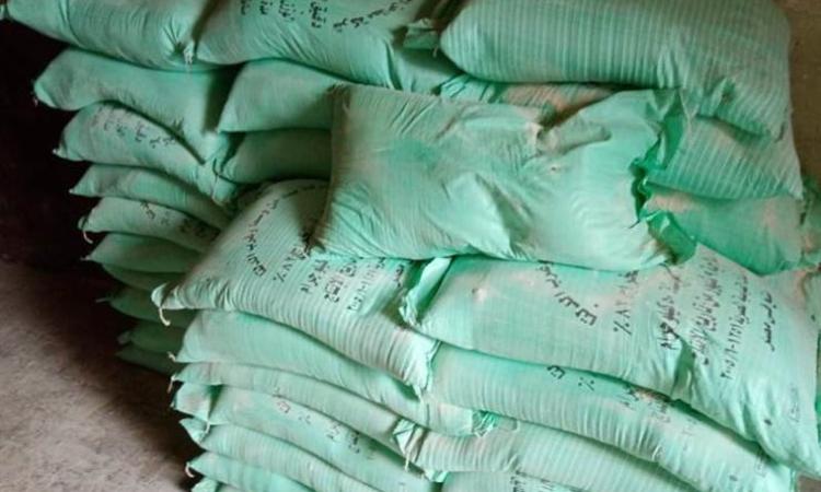 ��� 6 �� ���� ���� ����� ����� �� 24 ���� 