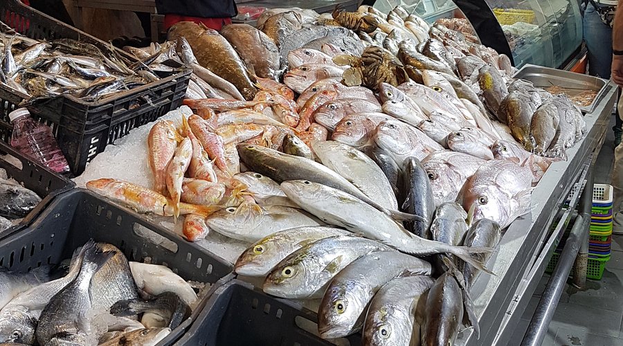 ����� ������� ����� �������� 25 / 3 / 2026 �� ��� ������