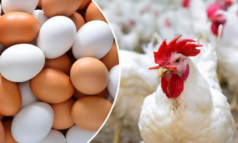 ����� ������� ������ ����� ������ 5 / 2 / 2026 �� �������