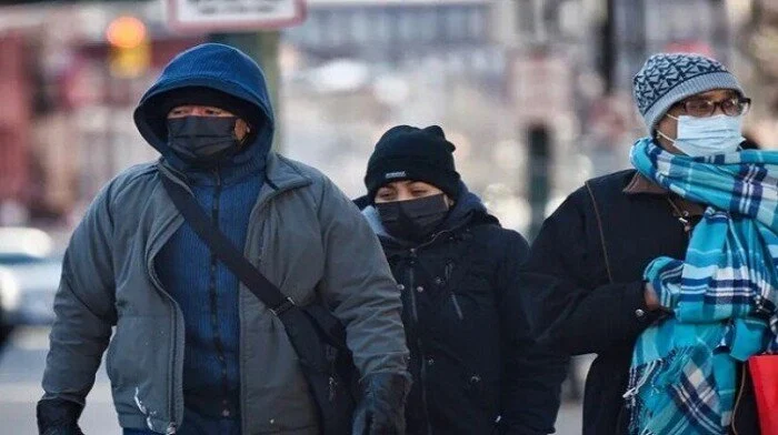 �������: ��� ����� ����� ����� ������� ������ ����� ������� �������� 12 ����