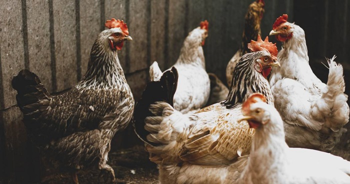 ����� ������� ������ ����� ����� 5 / 4 / 2026 �� �������