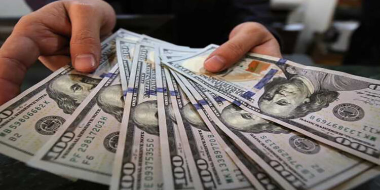 ����� ������� ����� ������ 29 / 1 / 2026 �� ������ �������