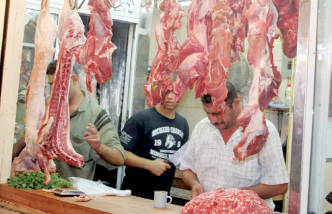 ����� ������ ����� ����� 13 / 9 / 2026 �� �������