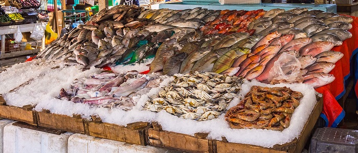 ����� ������� ����� ����� 14 / 12 / 2025 �� ��� ������ ������