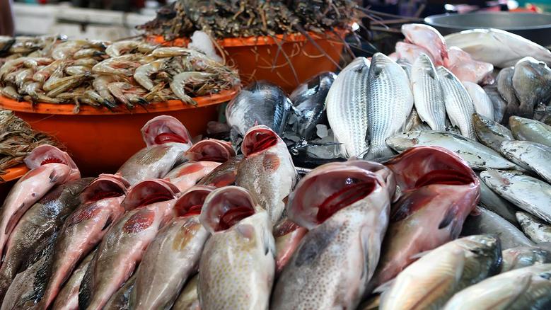 ����� ������� ����� �������� 11 / 2 / 2026 �� ��� ������ ������