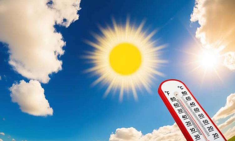 �������: ����� ����� ������ �� ����� ������� ������ ����� ������� �������� 30 ����