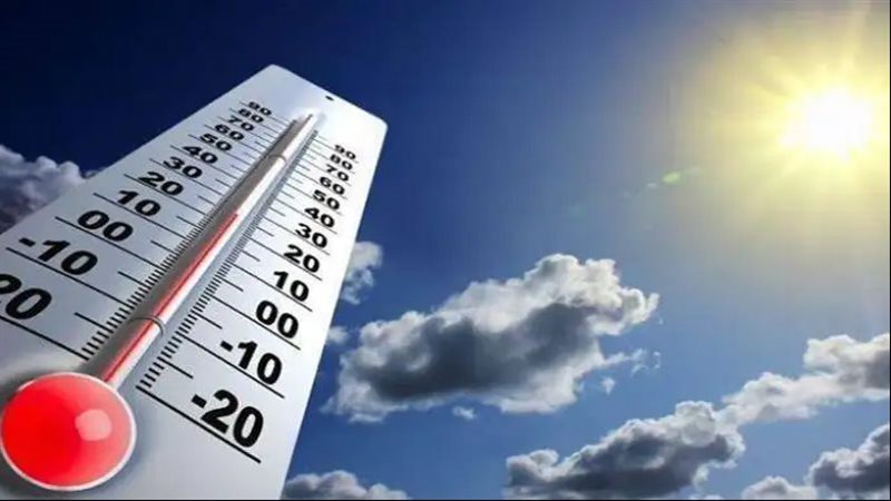 �������: ��� ���� ������� �� ������ ������ ���� ����� ������� �������� 23 ����