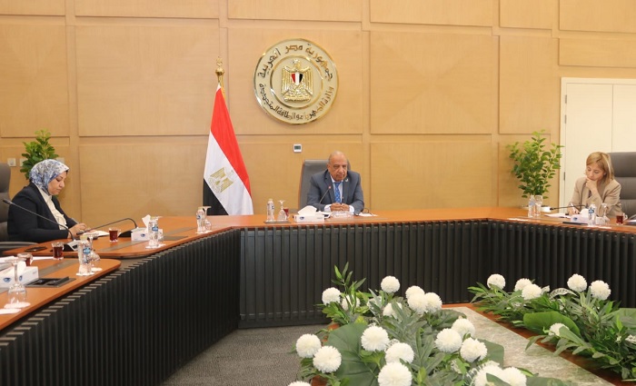 عصمت: تعزيز الربط الكهربائي مع أوروبا وتوسيع مشروعات تخزين الطاقة والهيدروجين الأخضر