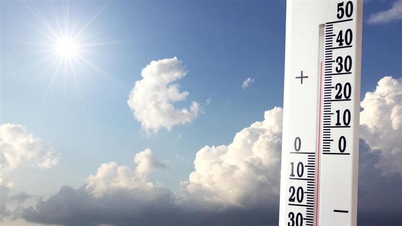 �������: ��� ����� ����� ����� �� ������ ������ ����� ����� ������� �������� 23 ����