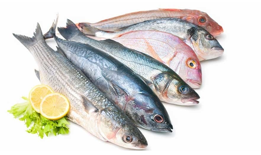 ����� ������� ����� ����� 21 / 12 / 2025 �� �������