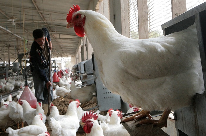 ����� ������� ������ ����� ����� 21 / 12 / 2025 �� �������