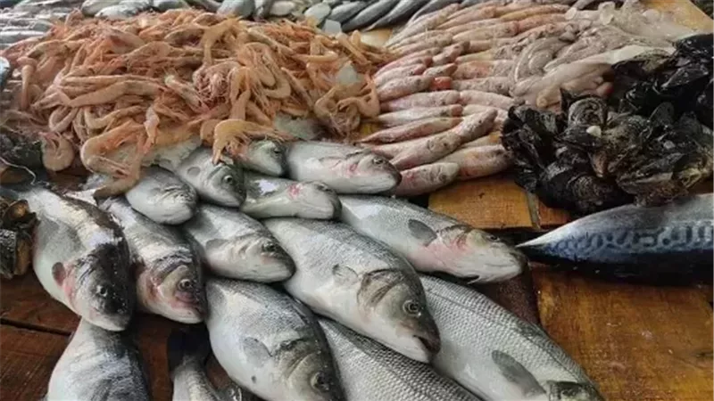 ����� ������� ����� ������ 26 / 2 / 2026 �� ��� ������