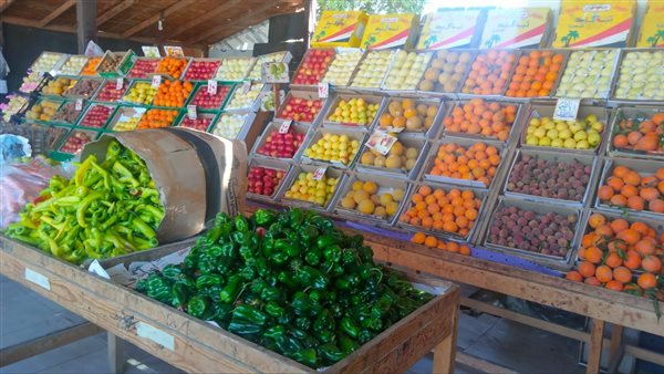 ����� �������� �������� ����� ������� 9 / 3 / 2026 �� ��� ������ 