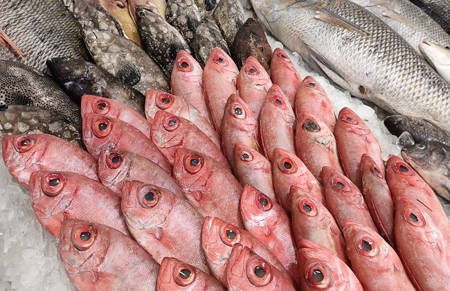 ����� ������� ����� ����� 21 / 2 / 2026 ���� ������ ������