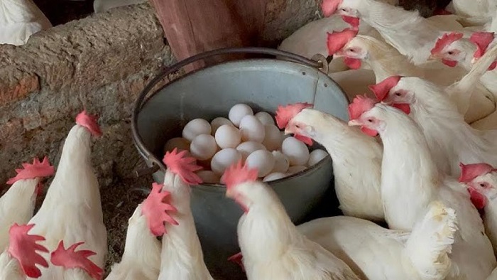 ����� ������� ������ ����� ������� 22 / 12 / 2025 �� �������