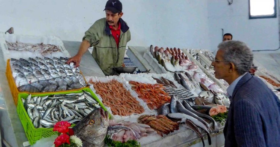 ����� ������� ����� ������ 22 / 1 / 2026 �� ��� ������ ������