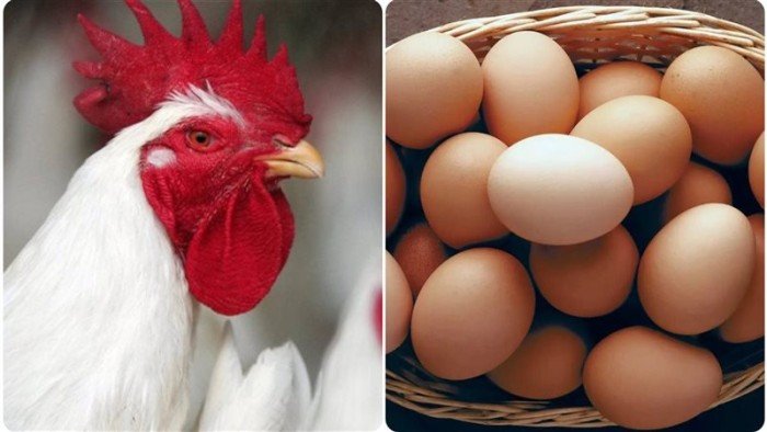 ����� ������� ������ ����� �������� 10 / 3 / 2026 �� �������