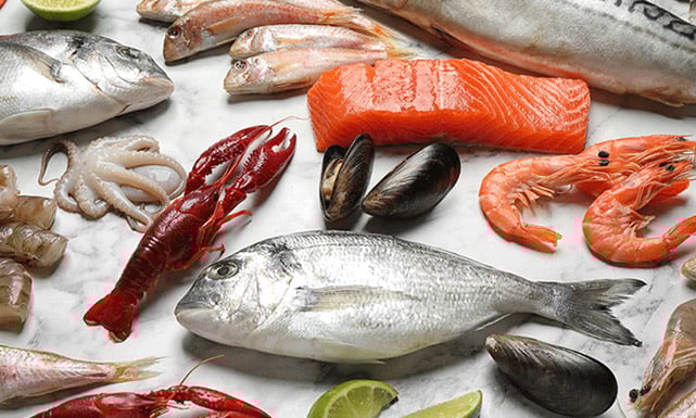 ����� ������� ����� ����� 11 / 4 / 2026 �� ��� ������