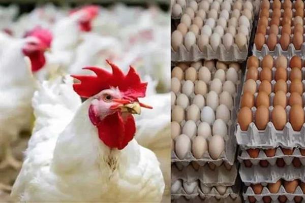 ����� ������� ������ ����� �������� 30 / 12 / 2025 �� �������