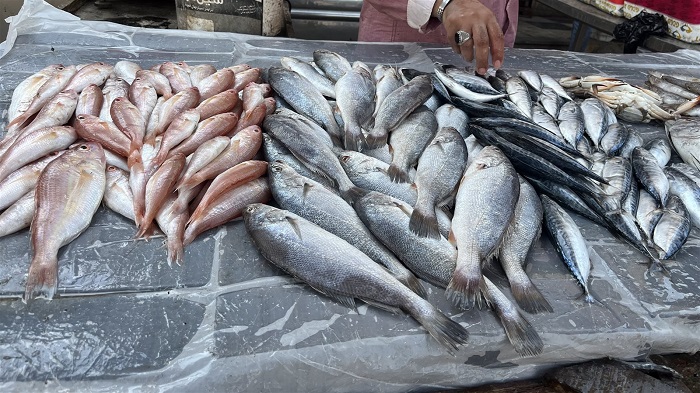 ����� ������� ����� �������� 3 / 2 / 2026 �� ��� ������