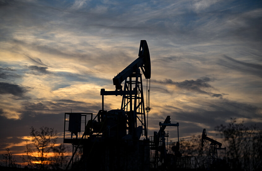 ���� ����� ������ ����� �������.. ���� ���� ��� 61 ������